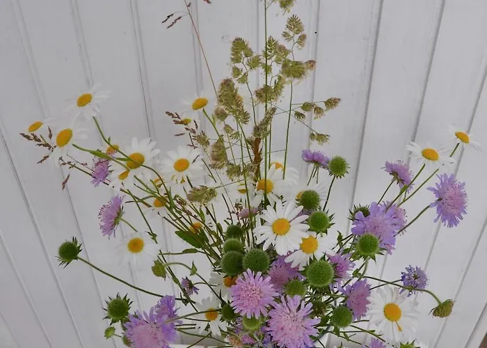 Pri Nacu Apartamento *